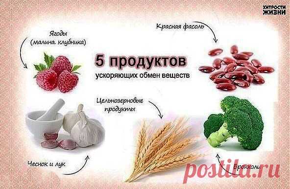 5 продуктов ускоряющих обмен веществ.