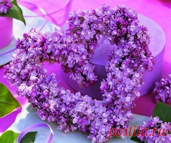 Как часто отрекаются любя....
И рвут все нити в лабиринтах судеб....
Не расставайтесь с теми кто вас любит....
Им страшно в мире жить с названием"Без тебя".....
Когда внизу.... вы развели мосты......
Им падать с высоты уже без крыльев....
И долго-долго на дороге пыльной....
Искать осколки раненой души.....
Смывать слезами все воспоминания....
Чем можно пламя в сердце остудить....
И как найти, где ставить запятую....
Среди трёх слов.."ЛЮБИТЬ НЕЛЬЗЯ ЗАБЫТЬ...!!!