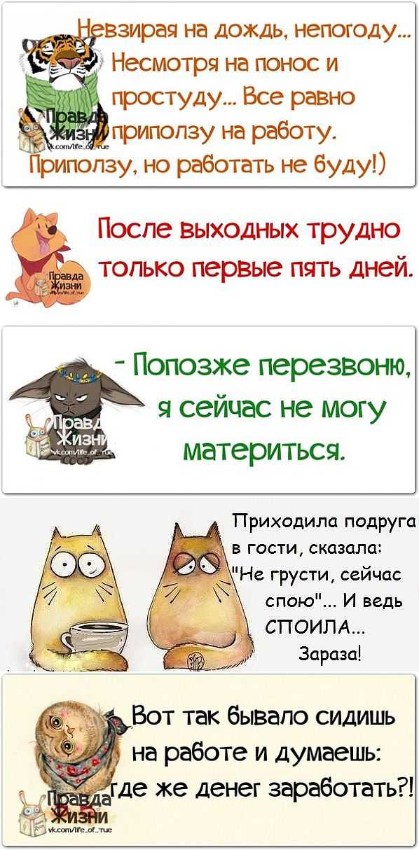 Позитивные фразочки в картинках - 03.12.2013.