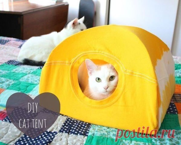 Палатка для любимой кошки-Эти невероятные животные!))-odnoklassniki.ru