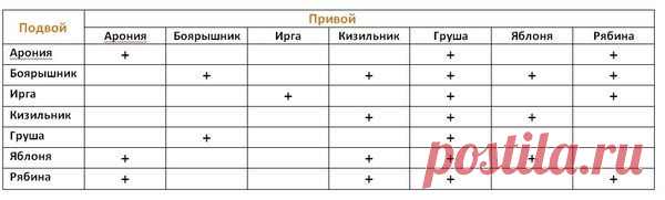 Что садоводу нужно знать о прививке