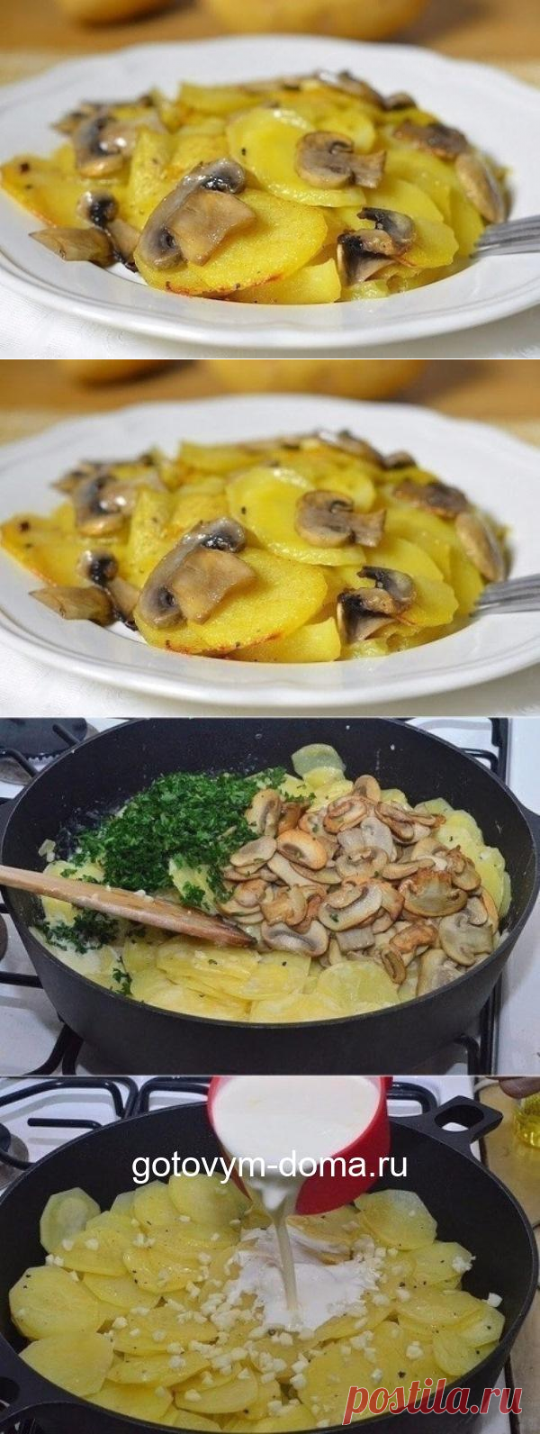 Новый вкусный рецепт приготовления картошки с грибами в сливках