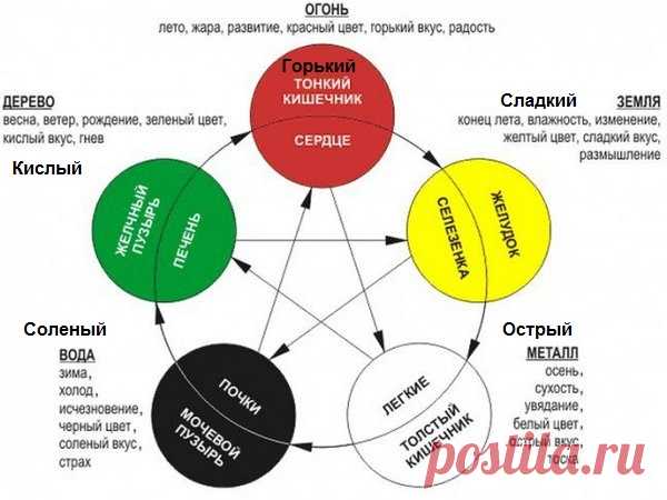 5 вкусов человека. Влияние вкусов на человека | Народные знания от Кравченко Анатолия