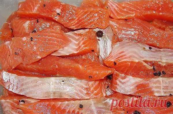 Простой и доступный рецепт засола красной рыбы