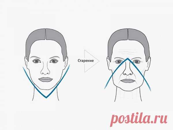 Скорая помощь при обвислых щеках: эти 4 упражнения вернут им упругость и румянец!  Женщина в любом возрасте будет выглядеть неотразимо, если у нее будет четкий овал лица и подтянутые, упругие щеки с румянцем. Как это возможно?
 Сначала нужно разобраться, какие факторы способствуют …