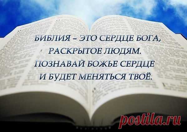 Как вы можете убедиться в том, что вы что-то делаете против Бога? Очень просто: Тора (Десять заповедей и Пятикнижие Моисеево) является детоводителем ко Христу. Через Закон Бога вы видите свое нынешнее состояние и начинаете реально нуждаться в прощении и очищении, т.е. в жертве Христа (Рим.3:25: 1Ин.1:9).