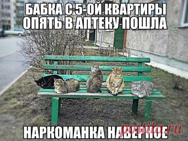 Мой Мир@Mail.Ru