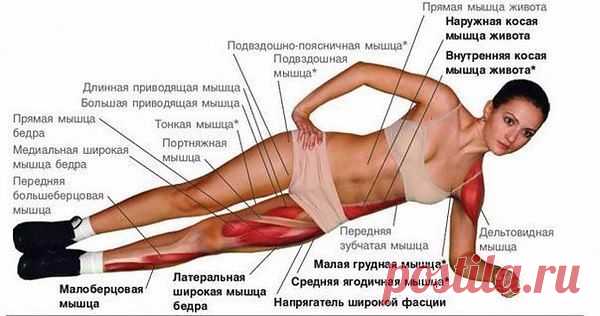 ПОДТЯЖКА ЖИВОТА И ИСЧЕЗНОВЕНИЕ БОКОВ !!!  **Планка - по 30сек на каждую сторону, 3 подхода.