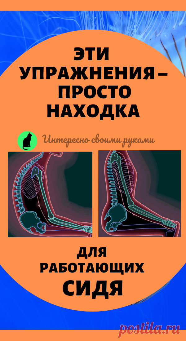 Эти упражнения – просто находка для работающих сидя. Здоровье и красота в домашних условиях