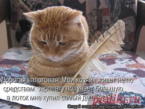 Мой Мир@Mail.Ru