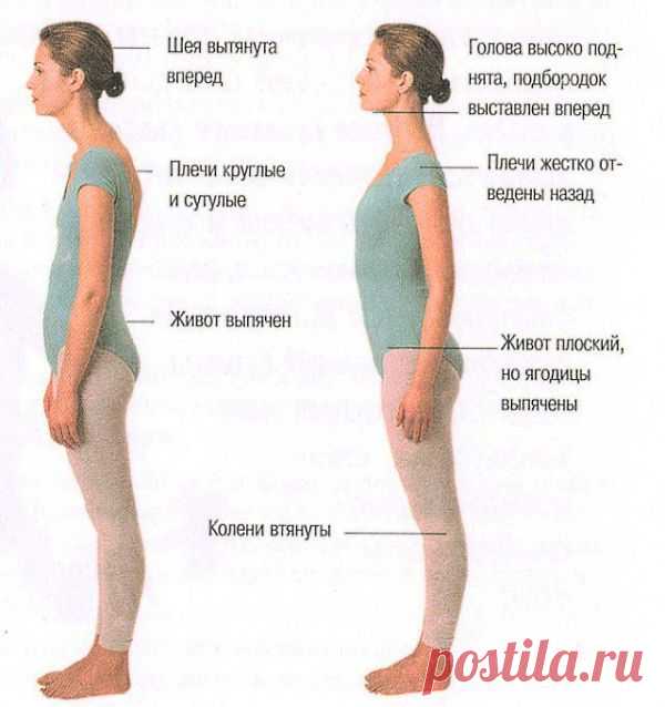Правильная осанка: как её поддерживать? 
 Одна из основных причин нарушений осанки - малая физическая активность, недостаточная нагрузка на мышцы, особенно спинные. 
 Упражнения, корректирующие тонус мышц спины: 
 - Лечь в позу «на спине», раскинуть руки в стороны ладонями вниз, ноги согнуть в коленях, поставив при этом пятки как можно ближе к туловищу. На вдохе выгнуть грудную клетку вверх. Следить за тем, чтобы нижняя часть туловища, голова и руки не отрывались от ...
