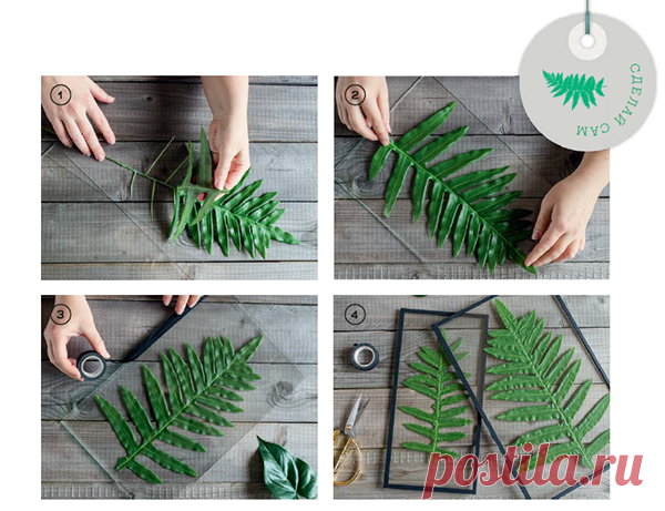 Давайте сделаем шажок в зеленое будущее прямо сейчас. Создадим ботаническую рамку — очень просто, но эффектно. Вам понадобятся: два одинаковых стекла, черная изолента, высушенный или искусственный лист (например, из ткани), ножницы.