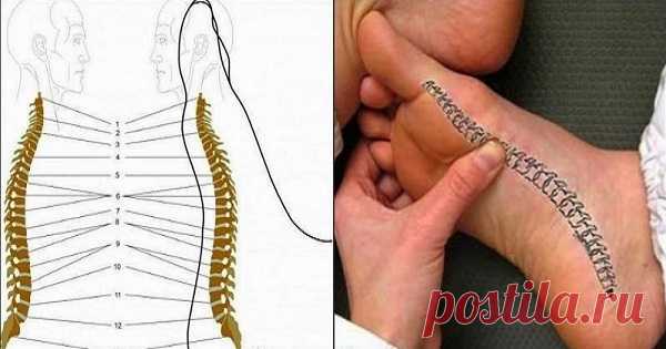 Болит спина? Благодаря этому чудодейственному массажу стоп ты избавишься от проблемы!