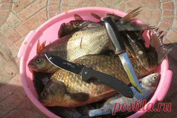 Как японцы чистят рыбу В Японии очень много рецептов с рыбой на вертеле, шампурах и т.д. И рыбу они чистят по своему. Для этого им нужны только палочки для еды.




Источник