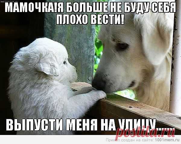 Мой Мир@Mail.Ru