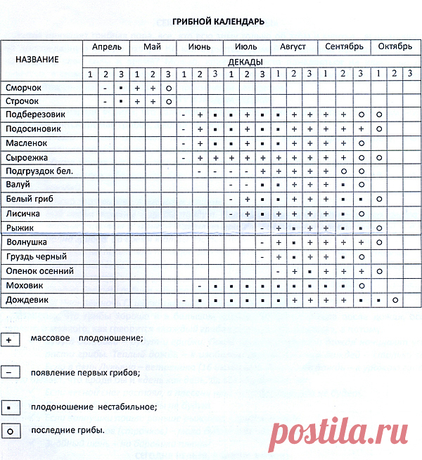 Хозяин леса: секреты сбора грибов, о которых не знает никтo