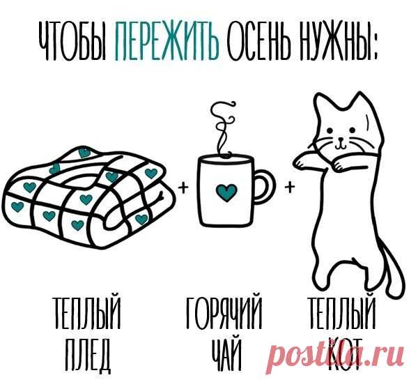 Вы согласны? 🐈 ☕ 😃 / Популярная медицина