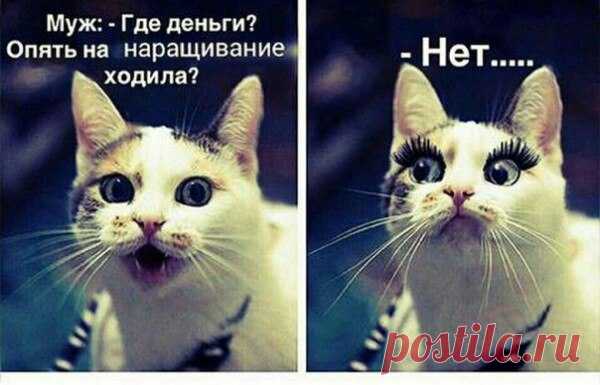 #юмор #чебынет #семья #красавицапожизни #явсемогу #я #улыбка #селфи