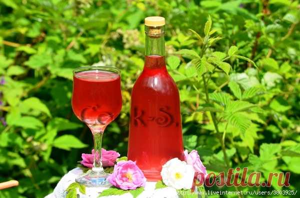 Очень ароматный и вкусный ликер из лепестков чайной розы – самый лучший рецепт