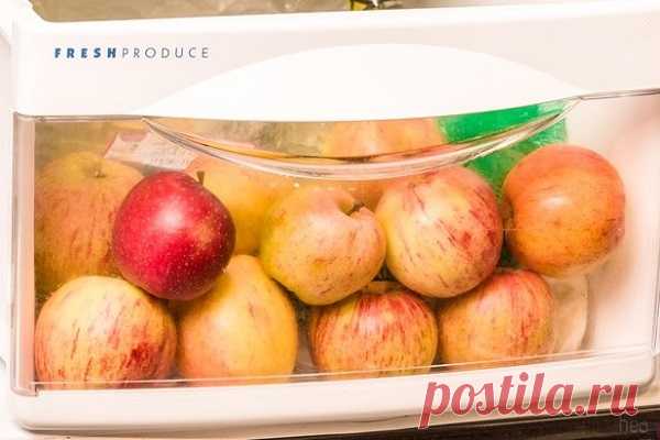 Как хранить фрукты и ягоды в холодильнике