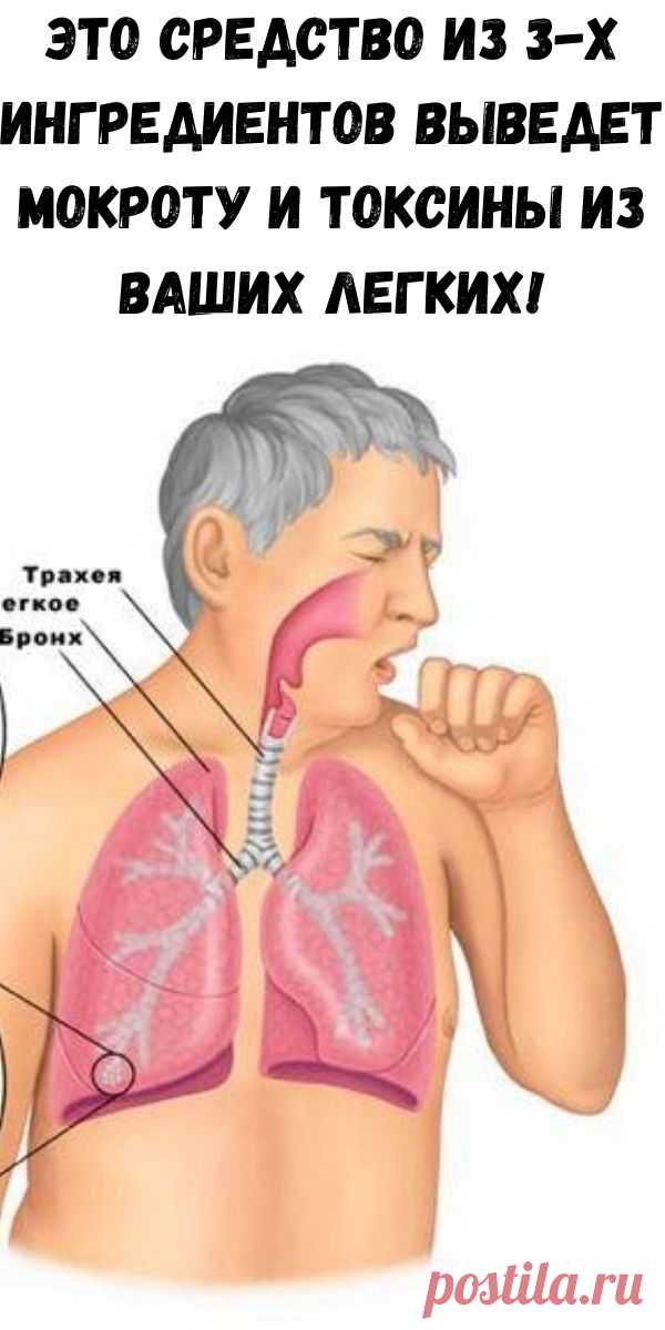 Это средство из 3-х ингредиентов выведет мокроту и токсины из ваших легких! - Счастливые заметки