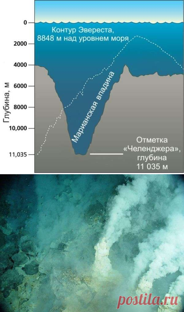 Интересные факты о Марианской впадине — Наука и жизнь
