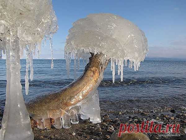 Январские "грибы" на берегу Байкала.