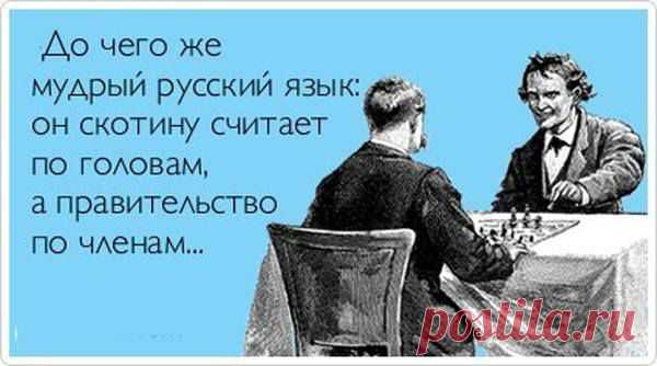 Timeline Photos - Ludmila Surikova