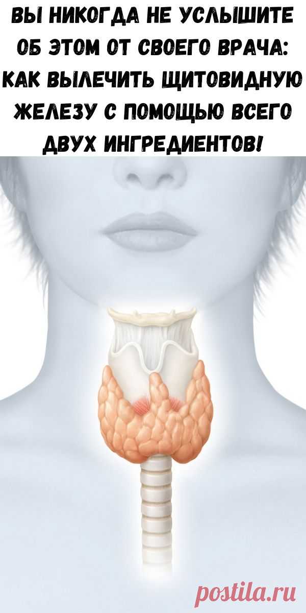 Вы никогда не услышите об этом от своего врача: Как вылечить щитовидную железу с помощью всего двух ингредиентов!