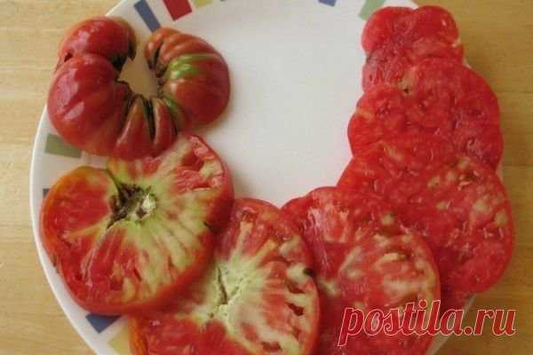 Почему у спелых томатов образуются твёрдые прожилки | Твоя усадьба | Яндекс Дзен