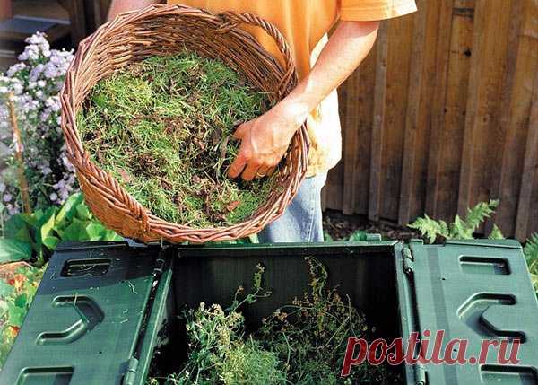 Как использовать траву для удобрения дачного участка | По Секрету Всему Свету | Яндекс Дзен