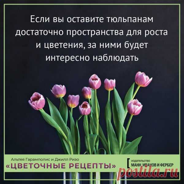 Если вы оставите тюльпанам достаточно пространства для роста и цветения, за ними будет интересно наблюдать