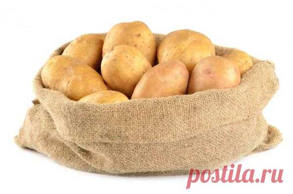 5 ошибок при хранении картофеля - МирТесен