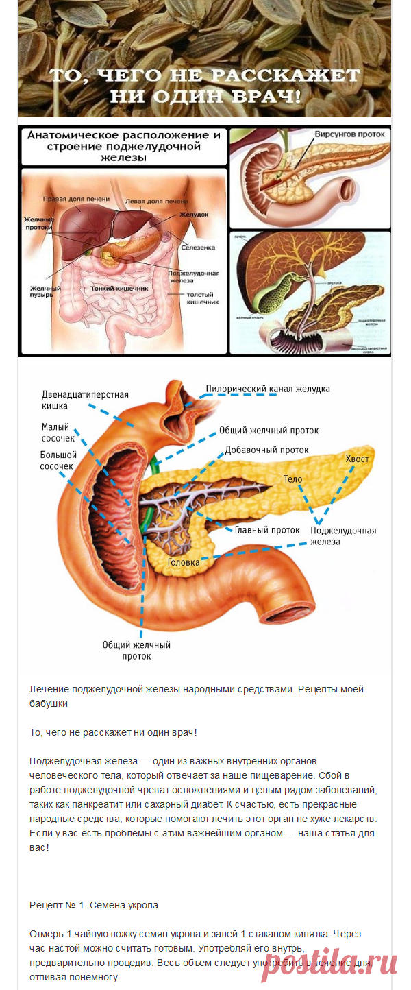 Вирсунгов проток это. Вирсунгов проток поджелудочной железы. Вирсунгов проток поджелудочной железы норма. Вирсунгов проток анатомия. Что такое вирсунгов проток в поджелудочной железе.