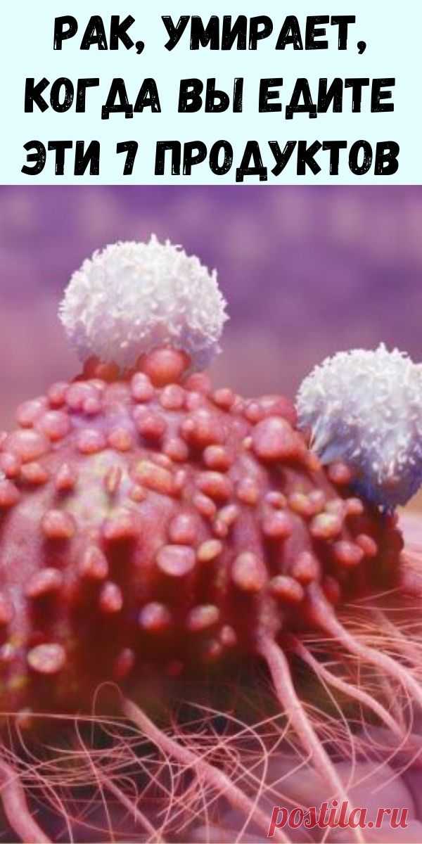 Какой запах рака. Раковые раковые клетки. Женские раковые клетки. Отмершие раковые клетки.