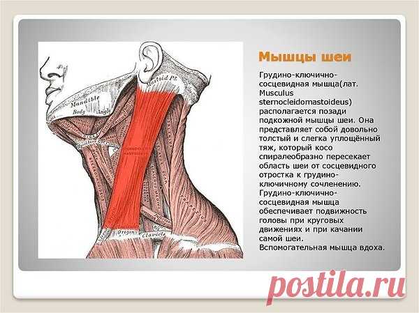 (ПЫЛЬ)Любовь64ур.: Чародеи дорогие,если вы ежедневно посылаете посылки,придется с вами расстаться((((