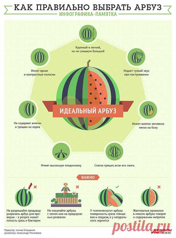 Как правильно выбрать арбуз. Инфографика-памятка - Вопрос-ответ - Аргументы и Факты