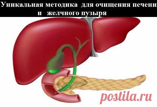 : Большинство заболеваний печени и желчного пузыря можно вылечить очищением.