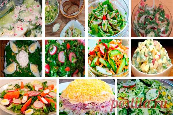 Вкусные и простые салаты с редиской и огурцом. 11 рецептов.