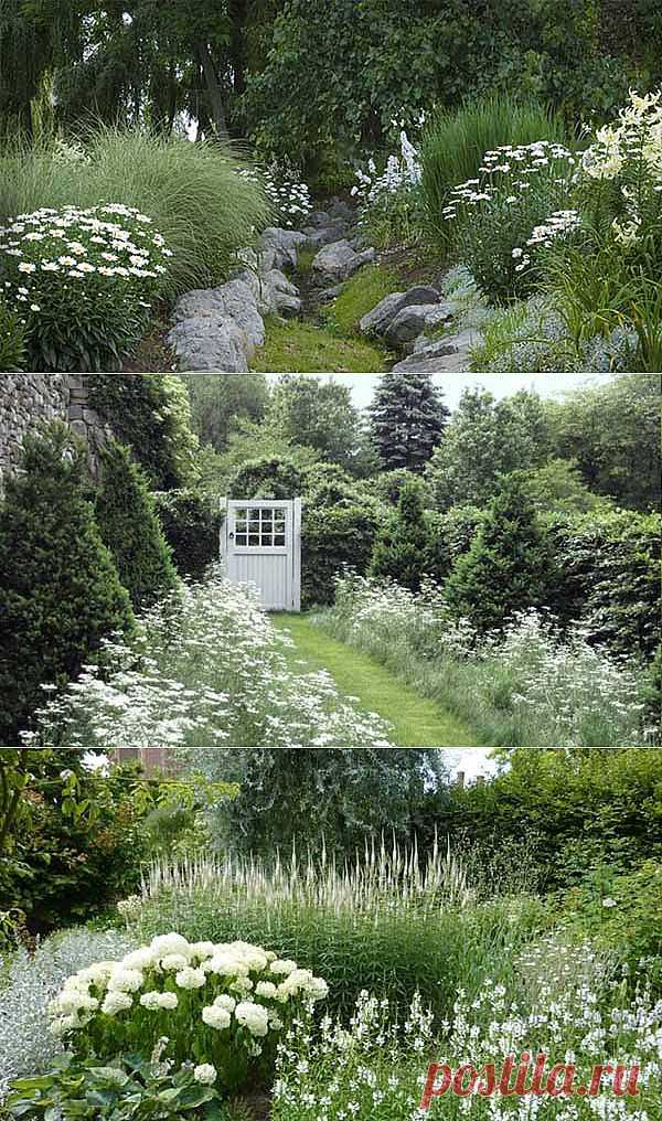 Ландшафтный дизайн вашего сада: белый сад