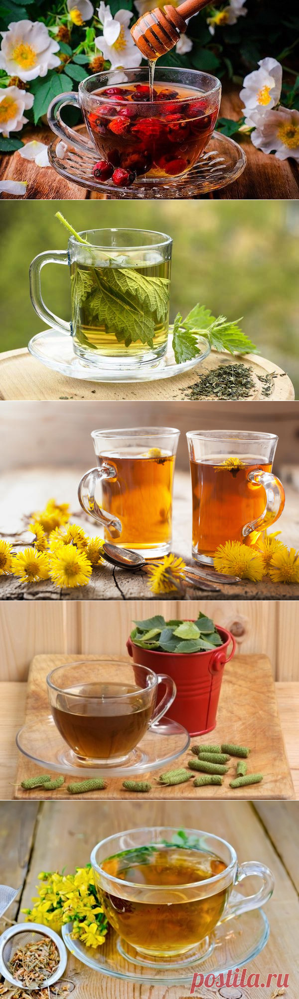 Как укрепить иммунитет и снизить тревожные симптомы при помощи травяного чая