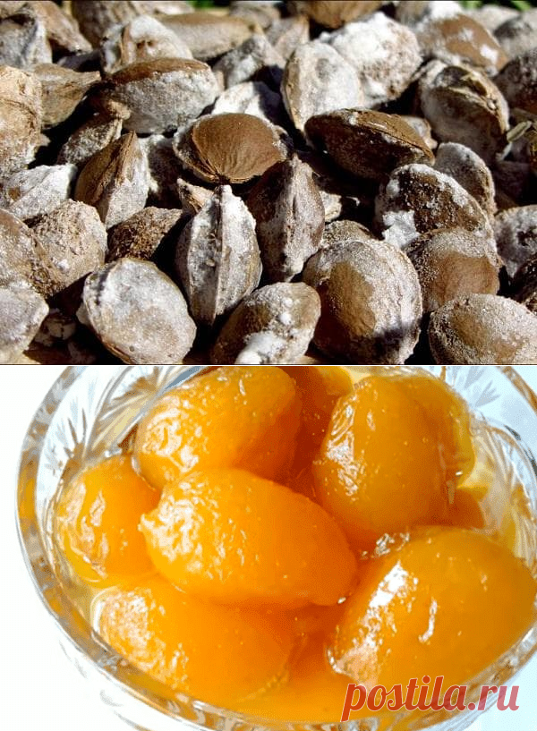 Что делать с косточками от абрикосов: как их приготовить и съесть