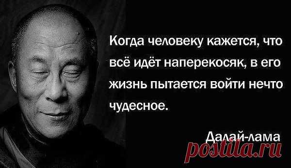 Ия: скользить, карабкаться, падать, подниматься, нащупывать дорогу и упорно идти вперед — вот и все. В этом тайна всякой победы.