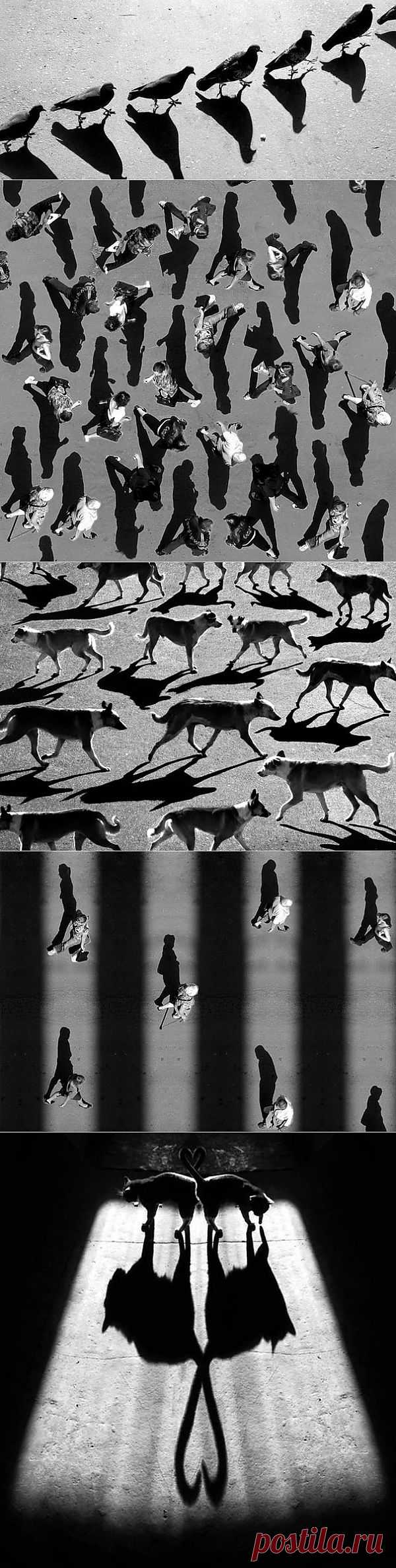 Mesmerizing Shadow Photography by Alexey Bednij | DeMilked