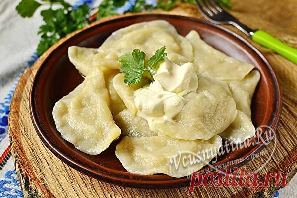 Вареники с сырой картошкой и салом: пошаговый рецепт