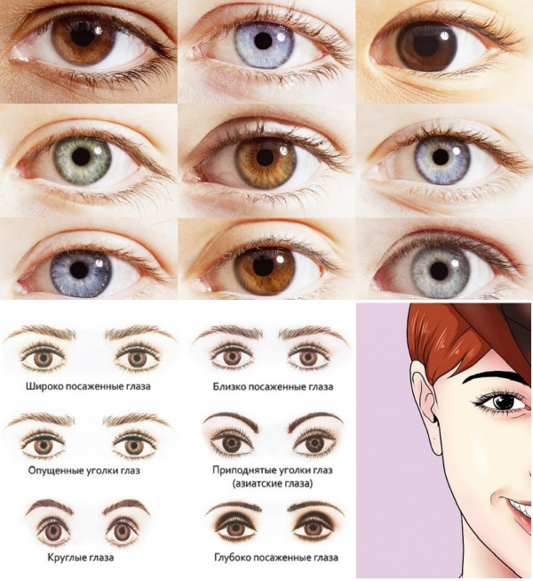 Факты о глазах