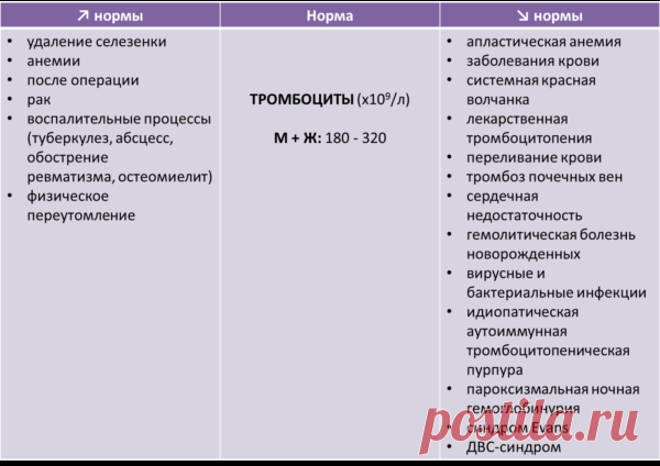 00001 Общий клинический анализ крови | Bestremedy