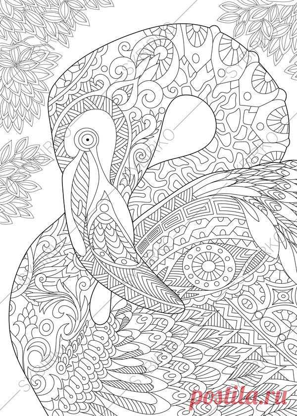 Flamingo Bird. Coloring Pages. Animal coloring book pages for | Etsy