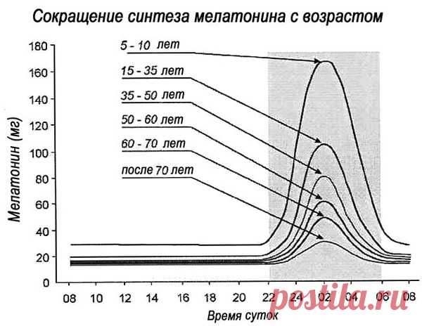 Мелатонин: гормон сна и долгой жизни