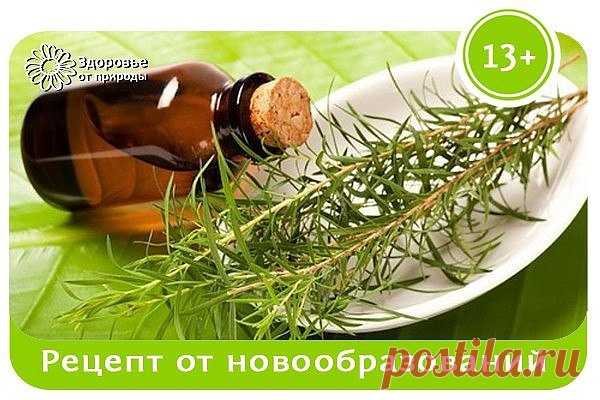 Рецепт от новообразований | OK.RU